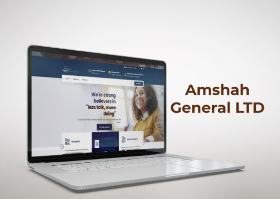 amshah website, website design, website samples, website tanzania, tanzania website, company website, best website, website design, website designer in tanzania,